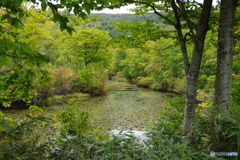 月山・地蔵池は色づき始め-2