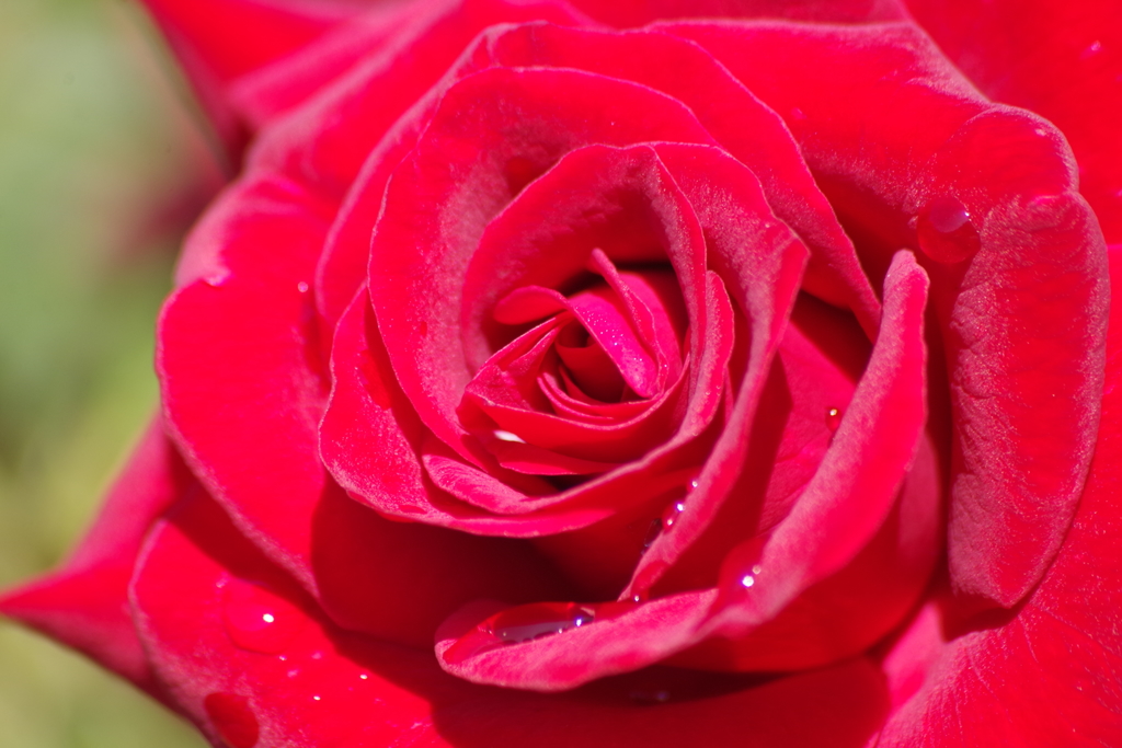 9/9 ニコロパガニーニ