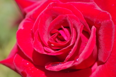 9/9 ニコロパガニーニ