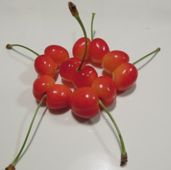 さくらんぼでお遊び