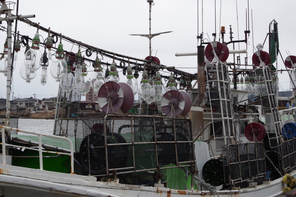 イカ釣り船-1