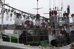 イカ釣り船-1