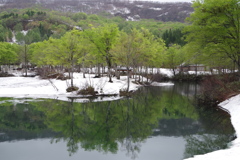 雪たっぷり-月山・地蔵池4