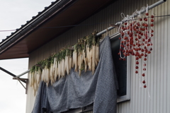 冬の散歩‐大根干しと干し柿