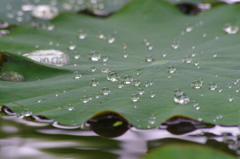 水滴ころころ