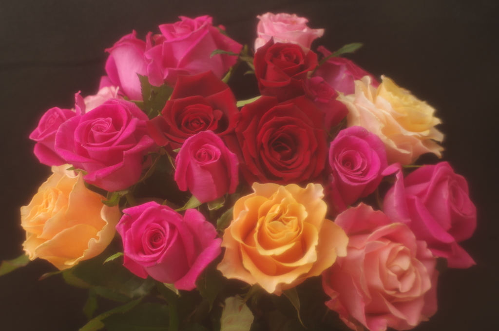 夜の薔薇スタジオ・7