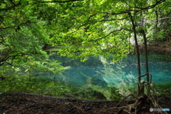 青と緑の神の池－丸池様3