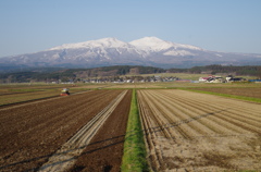 鳥海山・春-2