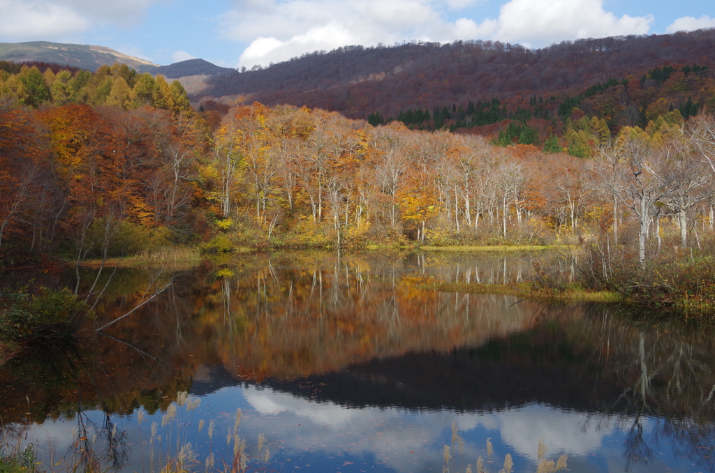 晩秋の月山・地蔵池-1