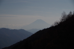 富士が見えた！