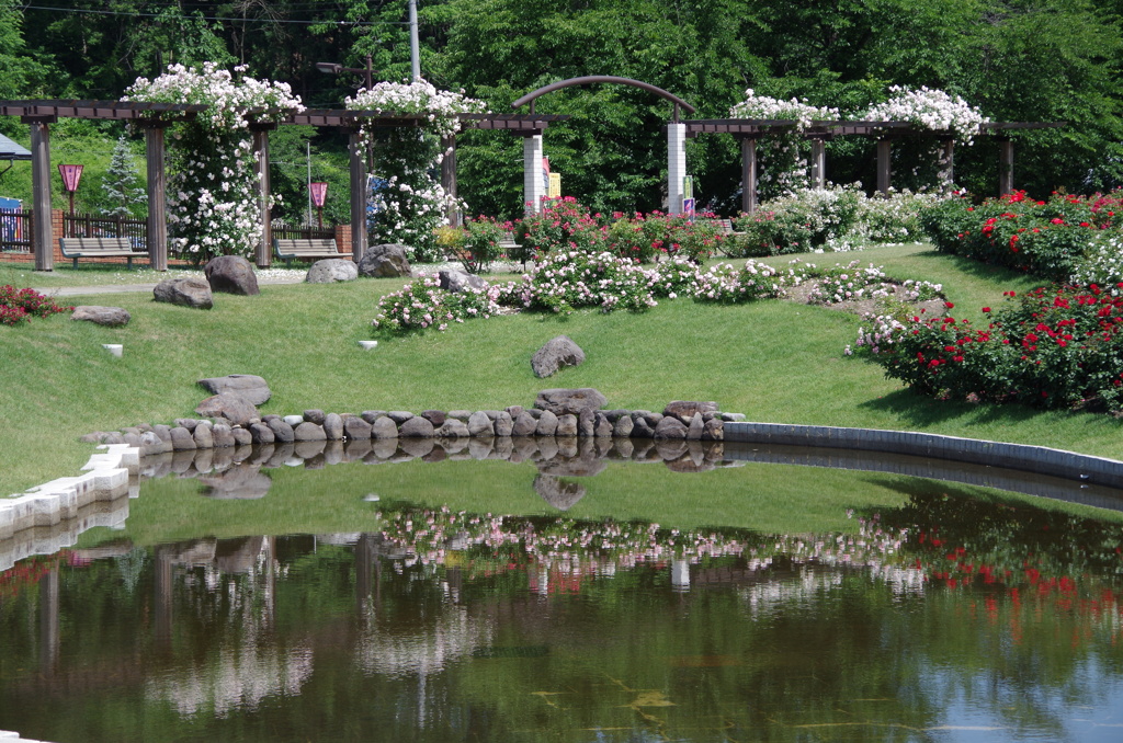 東沢公園-池