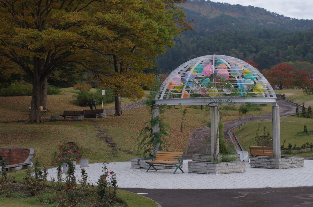秋彩のバラ広場