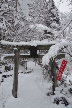 厳寒の唐松観音堂-2