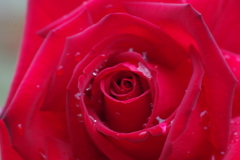 スパイラルに魅せられて6