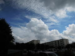 夏雲、秋雲の同居