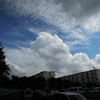 夏雲、秋雲の同居
