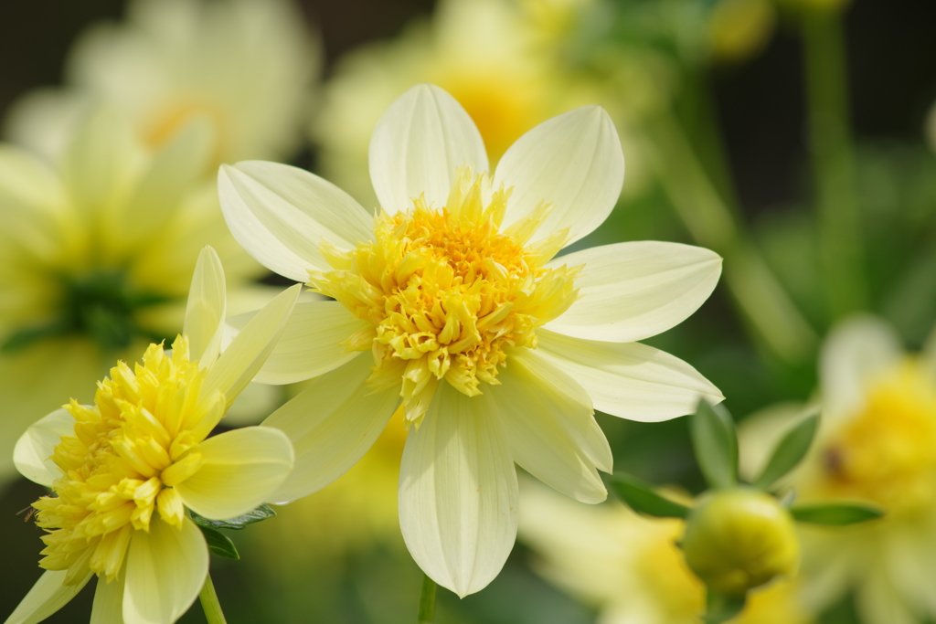 今年もよろしくお願いいたします。。