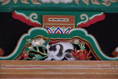 日光東照宮の猫