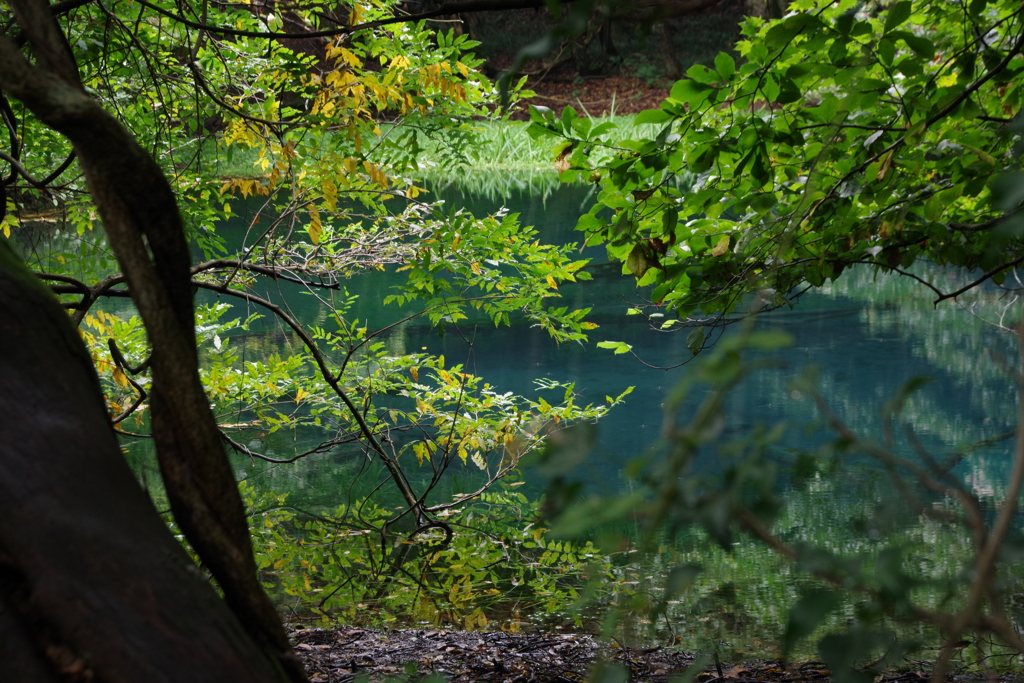 秋彩の始まり‐丸池様2