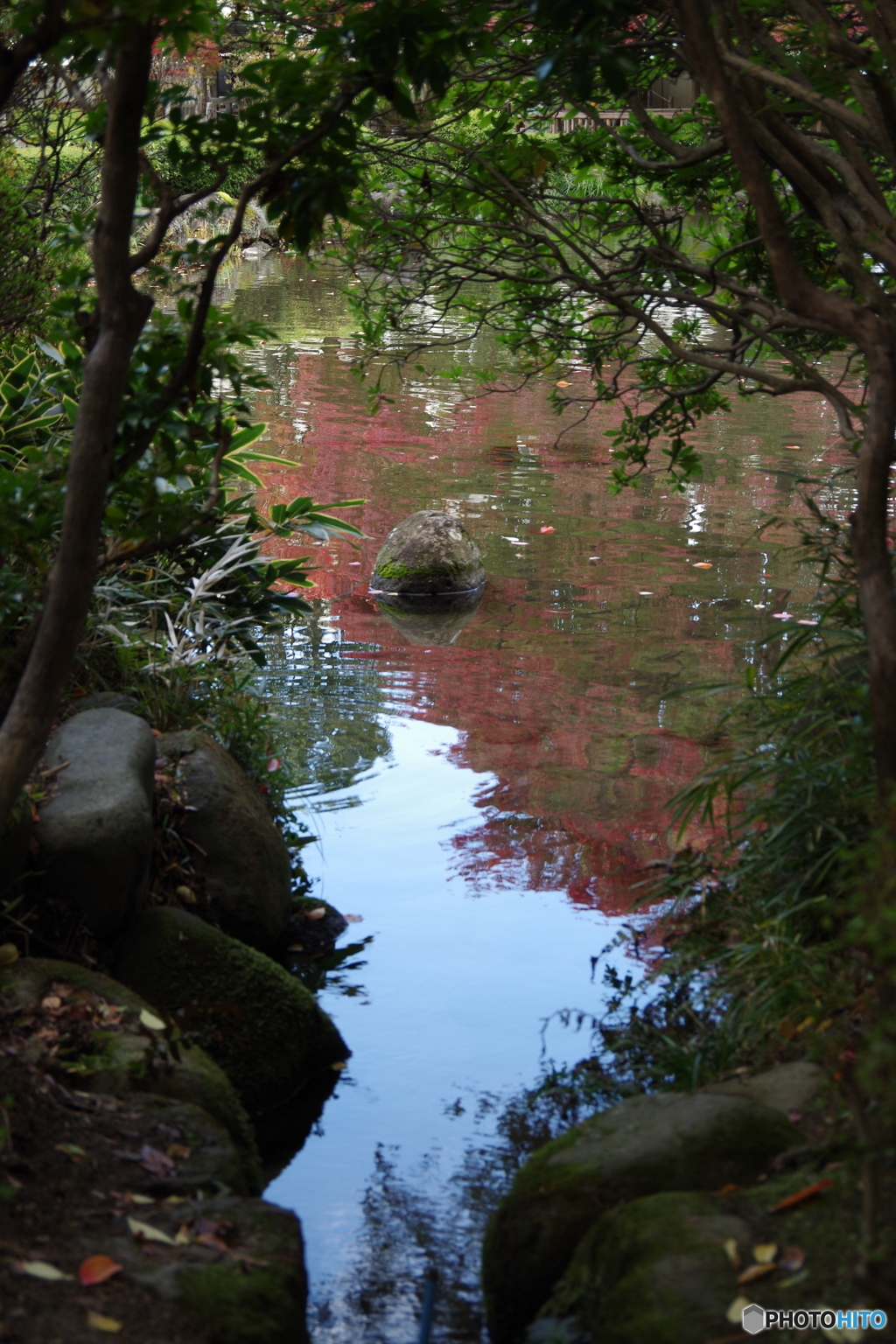 池を巡りて-もみじ公園１