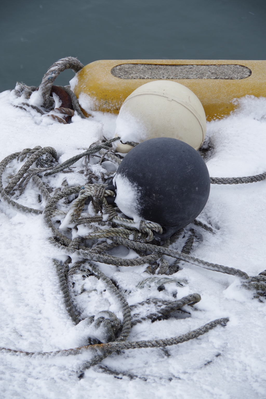 岸壁の忘れ物-3