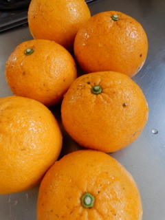 甘夏みかんジャムを作りました-1