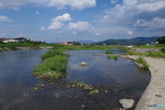 野川の晩夏