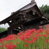 本山慈恩寺・最上院の門と彼岸花