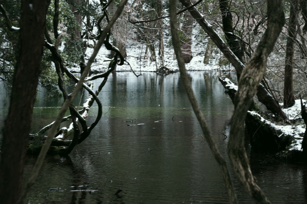 丸池様-雪の朝2