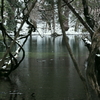 丸池様-雪の朝2