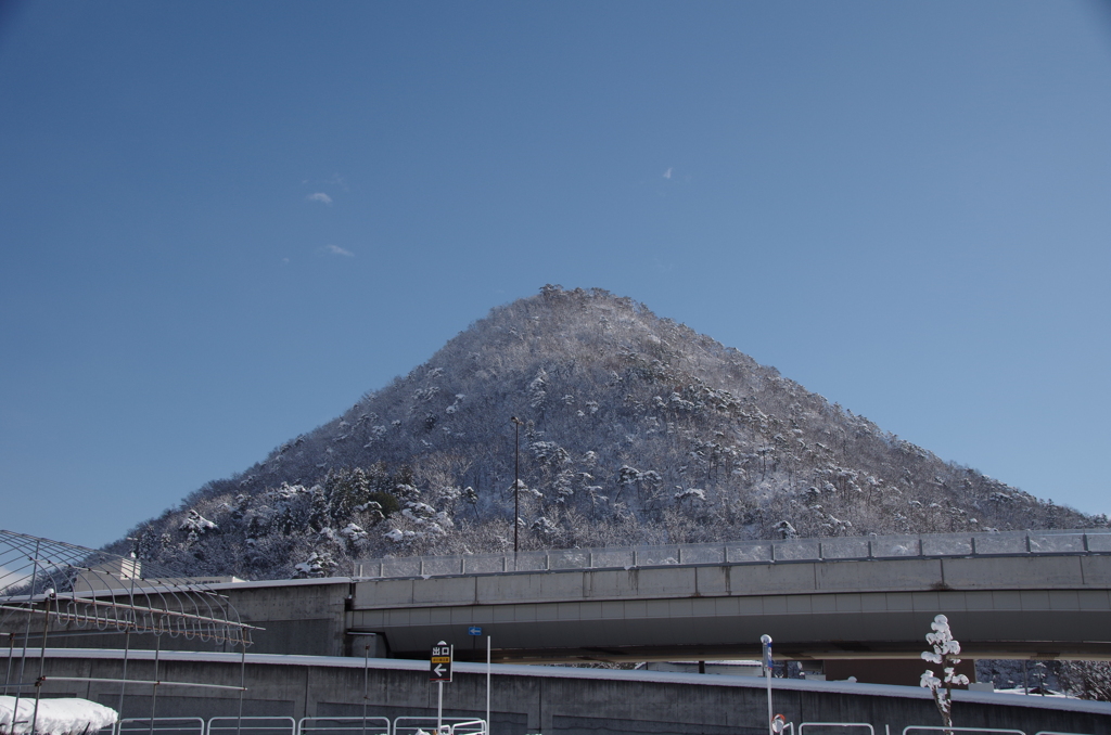 雪の中休み-1