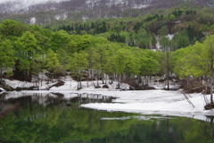 五月の風₋新緑と残雪の月山・地蔵池