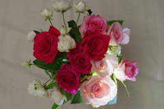 夜の薔薇スタジオ-1