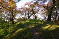 お堀の土手は散歩道-2