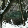 丸池様-雪の朝4
