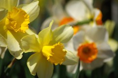 ね、何か聞こえた