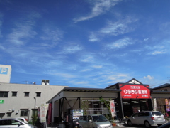 おいしさ直売所と秋の空