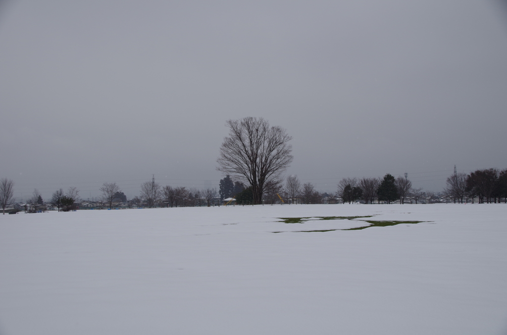 2020年の今頃‐雪原の西公園