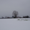 2020年の今頃‐雪原の西公園