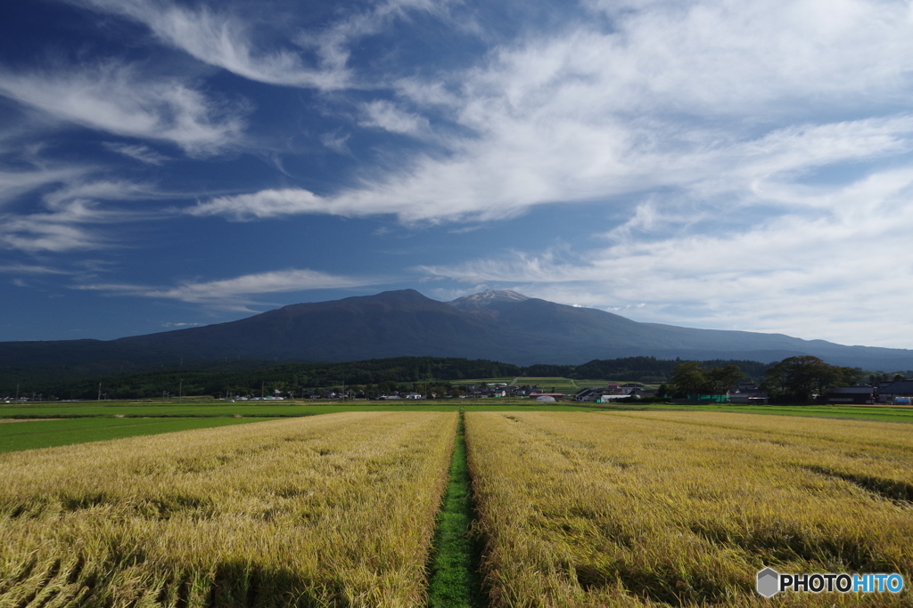 秋雲と黄金色の輝き