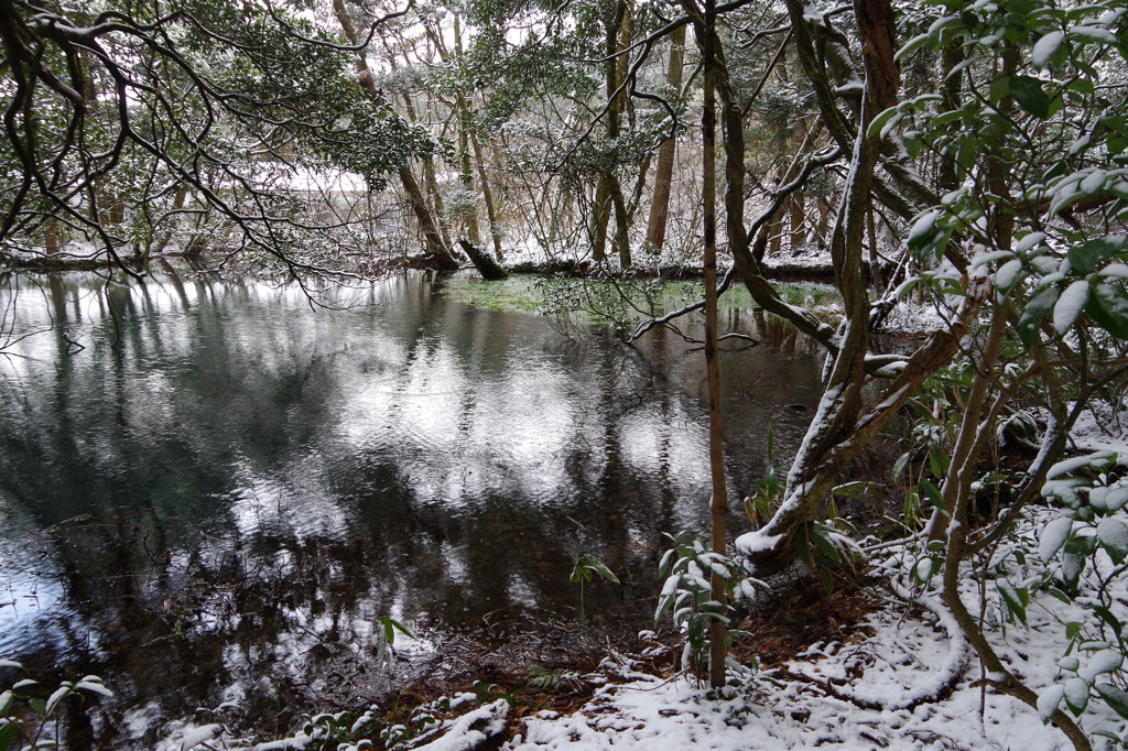 雪の丸池様-6