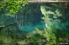 緑と青の丸池様-4