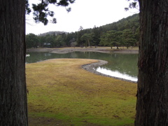 淨土庭園－毛越寺・洲浜