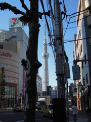 スカイツリ―が見える街