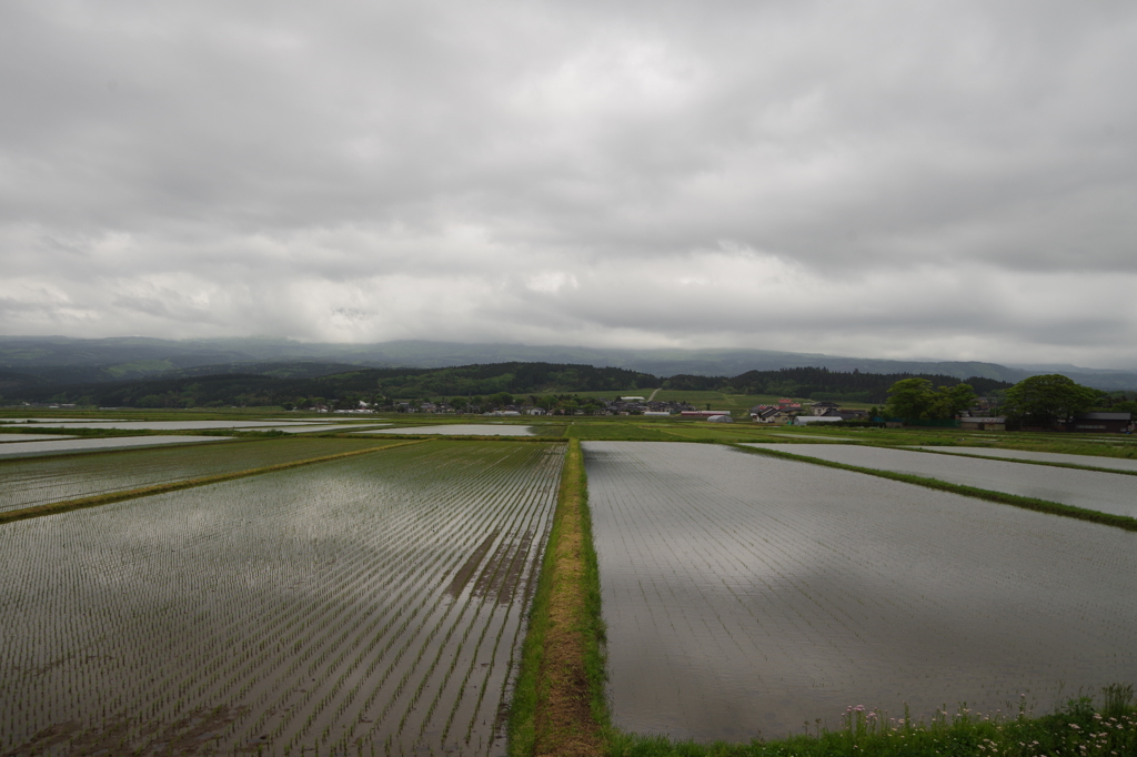 鳥海山に会いたかったけど。。