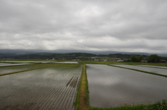 鳥海山に会いたかったけど。。