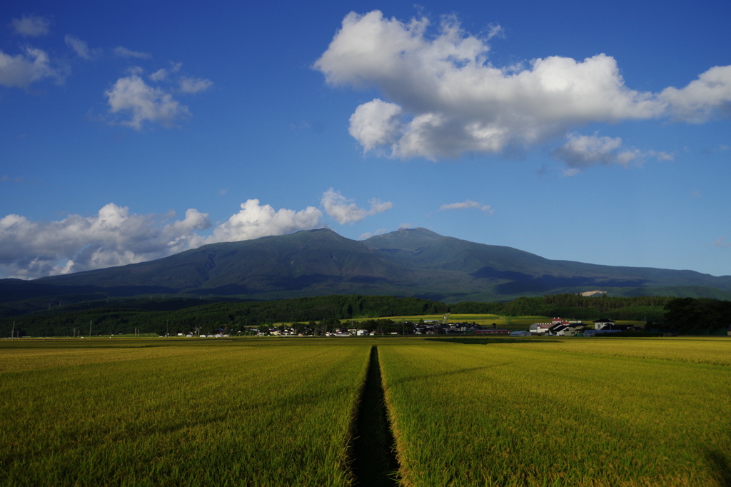 実りの秋-鳥海山