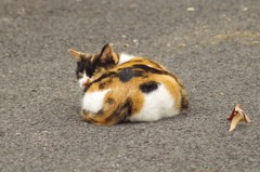 ほっといてよ