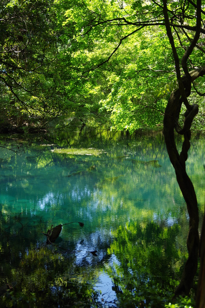 神の池-丸池様4