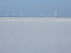 雪原の風車